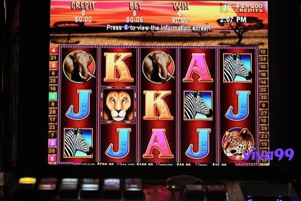 viva99 Live Casino Tables Built for Indonesia